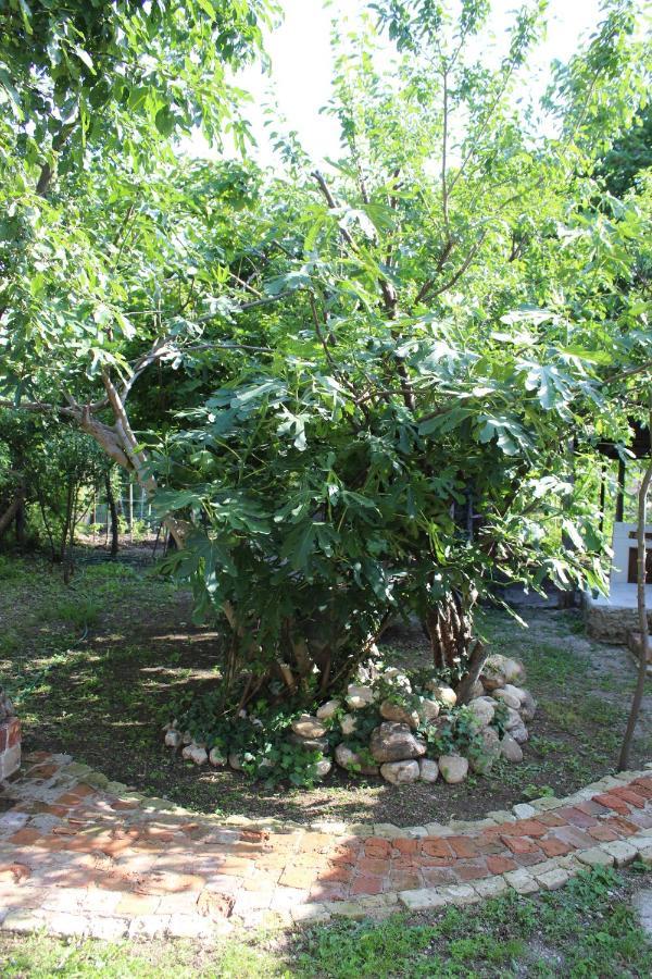 Guest House Meri Poppins Dedoplis Tskaro Exterior foto