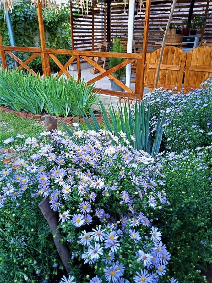 Guest House Meri Poppins Dedoplis Tskaro Exterior foto