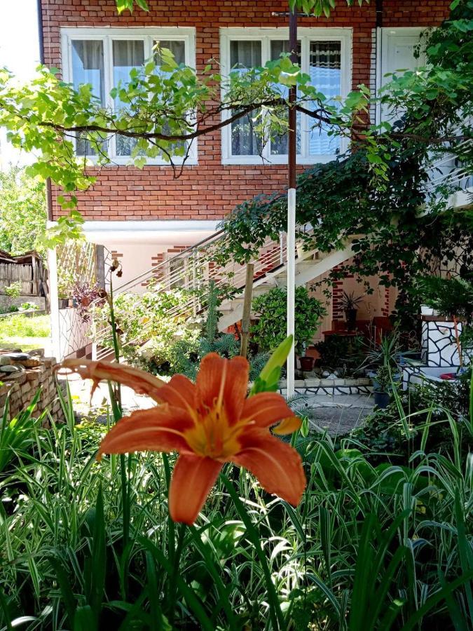 Guest House Meri Poppins Dedoplis Tskaro Exterior foto